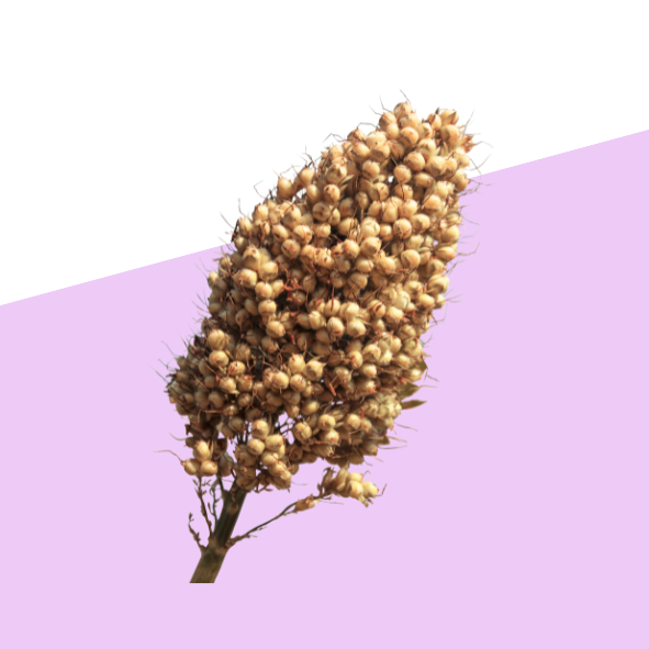 Millets